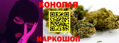 прущие грибы Камышлов