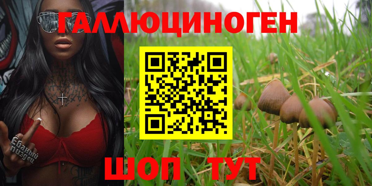 Галлюциногенные грибы Psilocybe  Вход с VPN  Югорск 